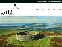 Tablet Screenshot of birdseyekite.com